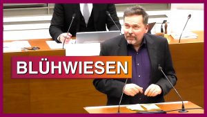 Blühwiesen - Ralf Pannowitsch