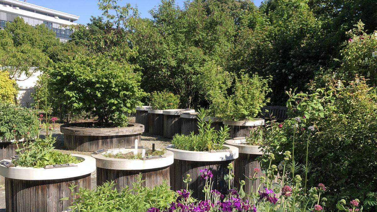 Duftgarten