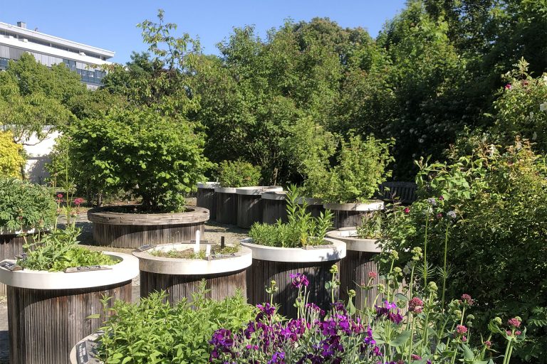 Duftgarten